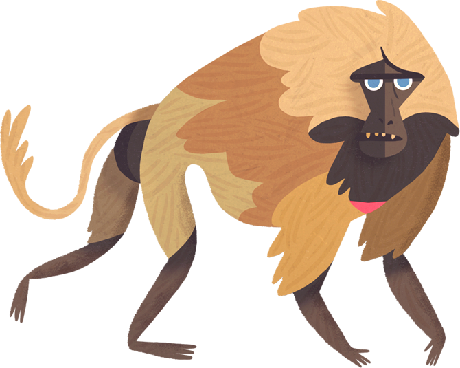 Owen Davey ☆ - Owen Davey Illustration Anaimals (670x535)