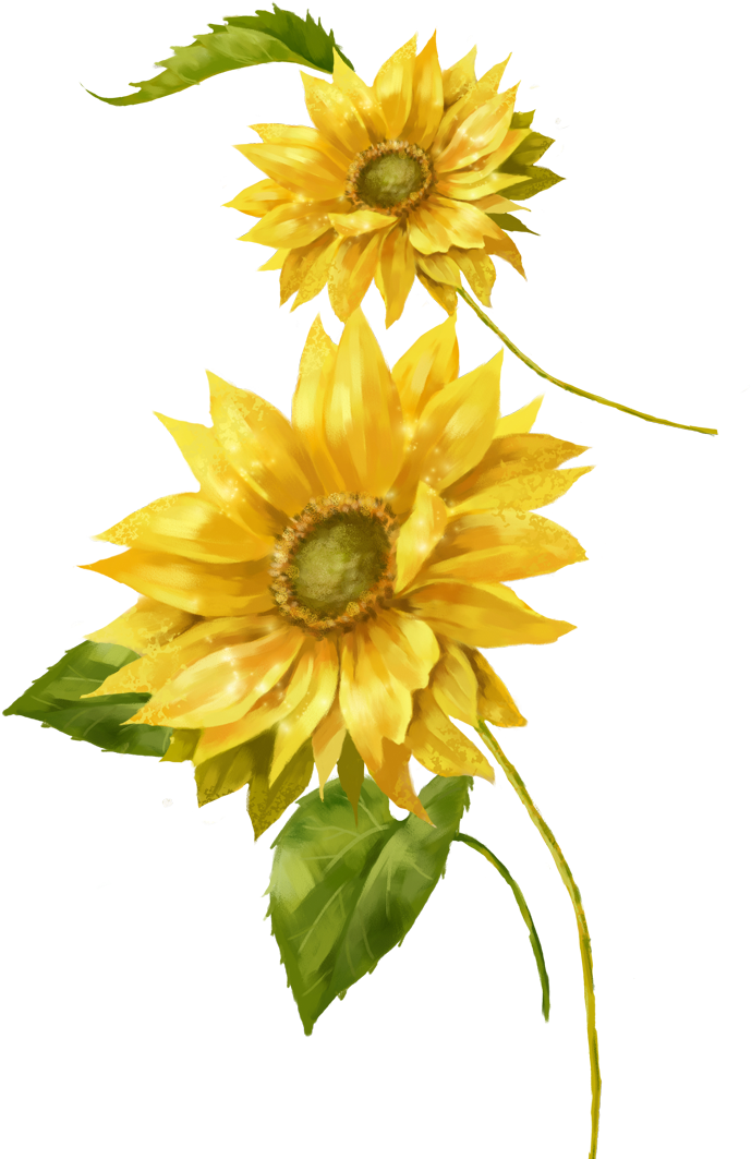 Common Sunflower Painting Yellow Euclidean Vector - Sunflower Polyester Square Decorative Throw Pillow (1181x1181)