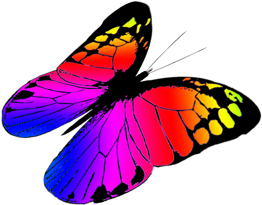 Free Butterflies Drawing, Free Butterfly Clipart - Colorful Butterflies Flying Png (591x591)