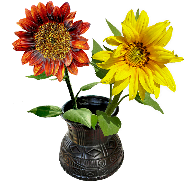 Sunflowers Png 18, Buy Clip Art - Sonnenblume-einfache Elegante Quadratische 13,3 Cm (631x720)