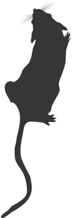 Mice On The Rise Â€“ The Journal Rewired - Mouse Silhouette Png (360x720)
