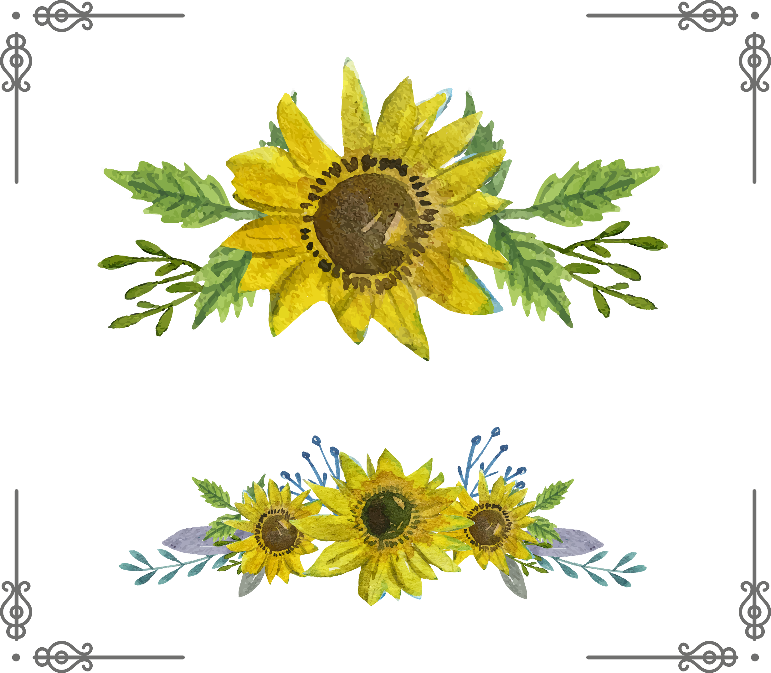 Common Sunflower Euclidean Vector Download - Common Sunflower Euclidean Vector Download (2463x2149)