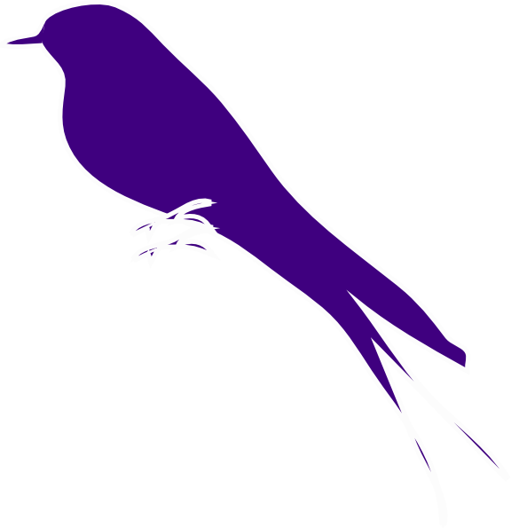 Purple Finch On A Branch Clip Art - Purple Finch Clipart (576x595)