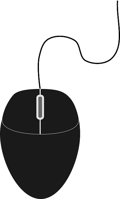 Black Mouse, Device, Control, Computer, Black - Computer Mouse Vector Png (385x640)