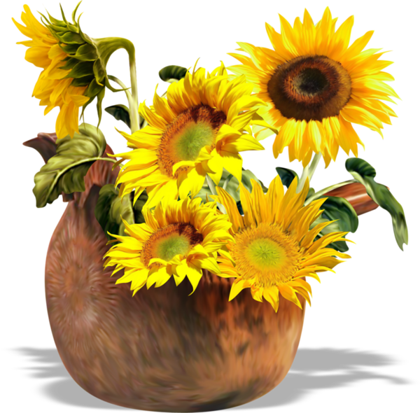 Common Sunflower Sunflowers Clip Art - Common Sunflower Sunflowers Clip Art (600x590)