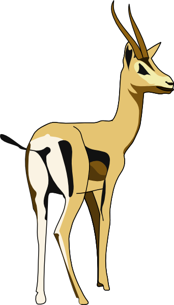 Gazelle Clipart - Gazelle Clip Art (342x598)