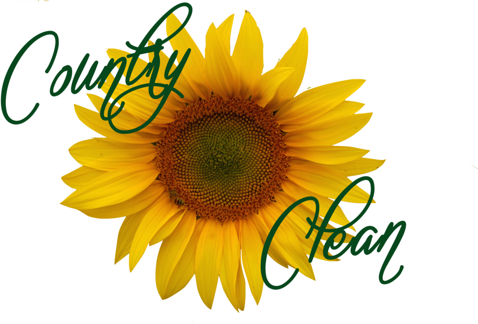 Casa Of Cecil County (1000x665)