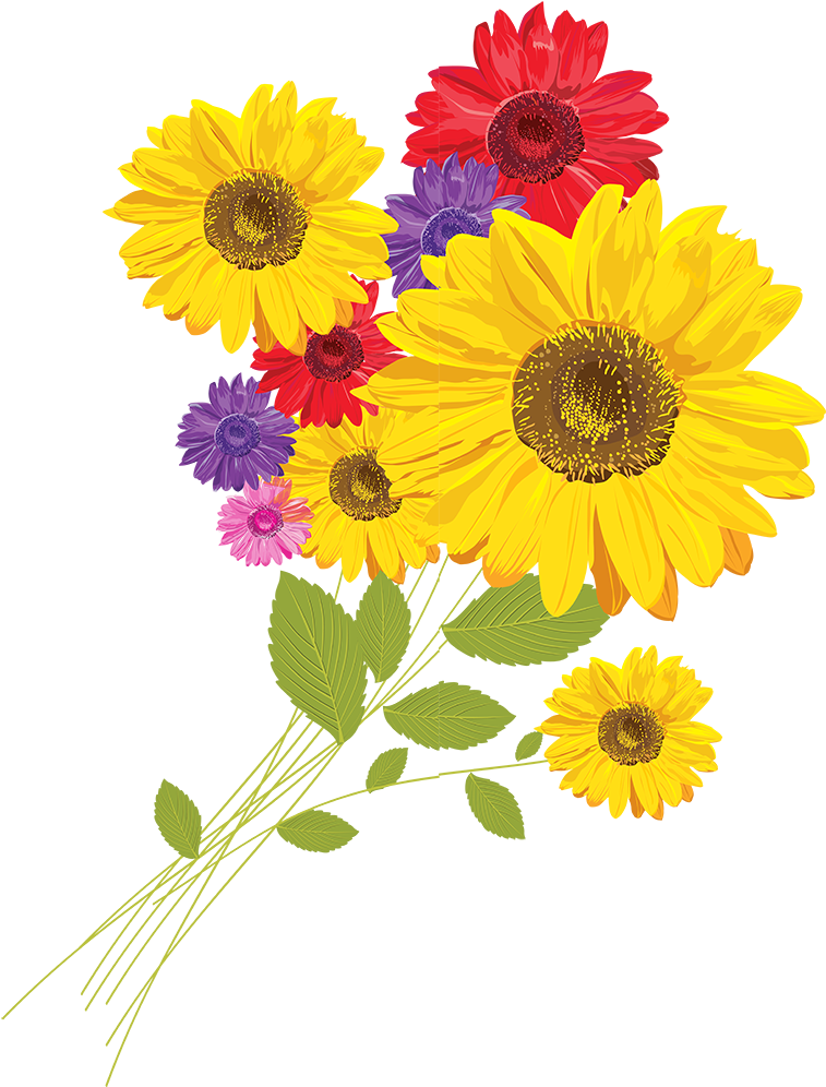 Common Sunflower Red Sunflower Coreldraw - Common Sunflower Red Sunflower Coreldraw (1020x1020)