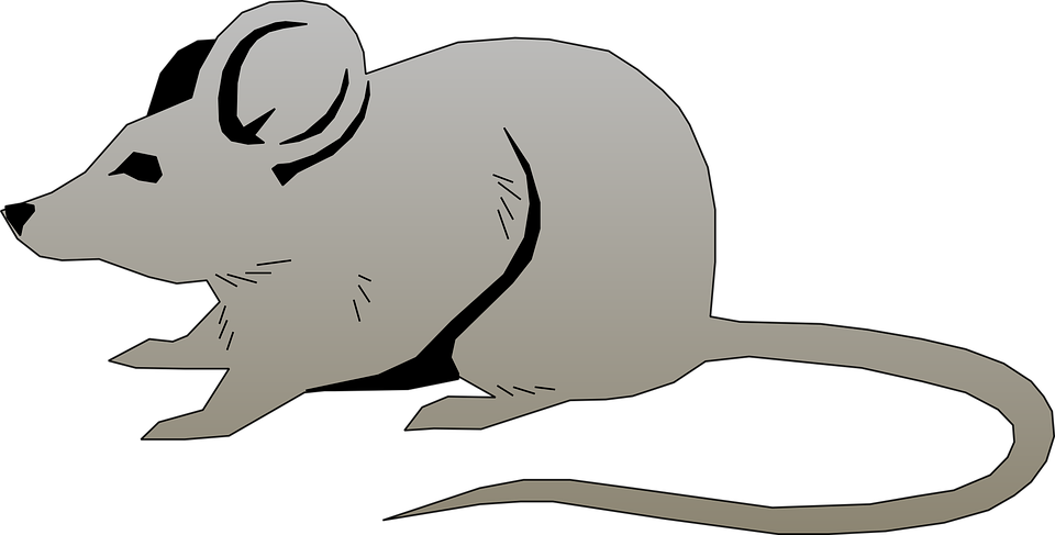 Mice Clipart Mouse Animal - Mouse Png Clip Art (960x487)