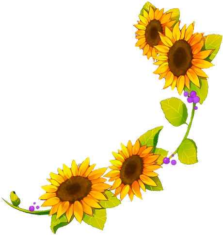 Four Cut Sunflowers Common Sunflower Sunflower Seed - Four Cut Sunflowers Common Sunflower Sunflower Seed (500x500)