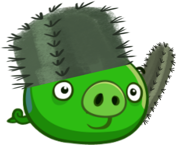 Cactus Pig - Angry Birds Epic (640x640)
