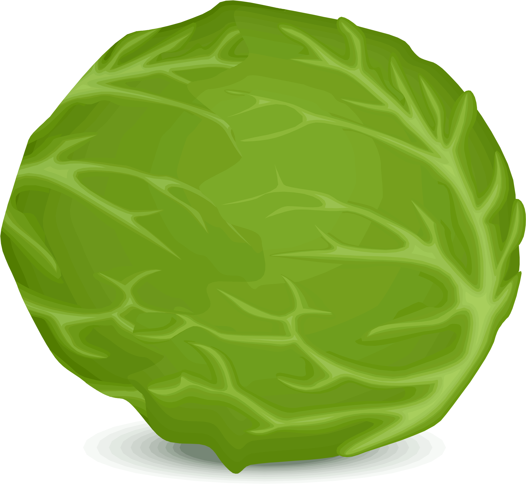 Cowboy Cactus Cliparts 25, - Lettuce Clipart Png (2400x2277)