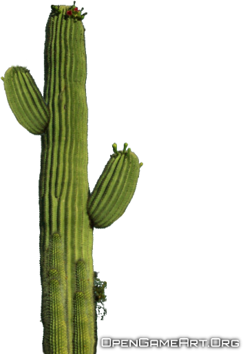 Cactus Png Images Transparent Free Download - Cactus Transparent (512x512)