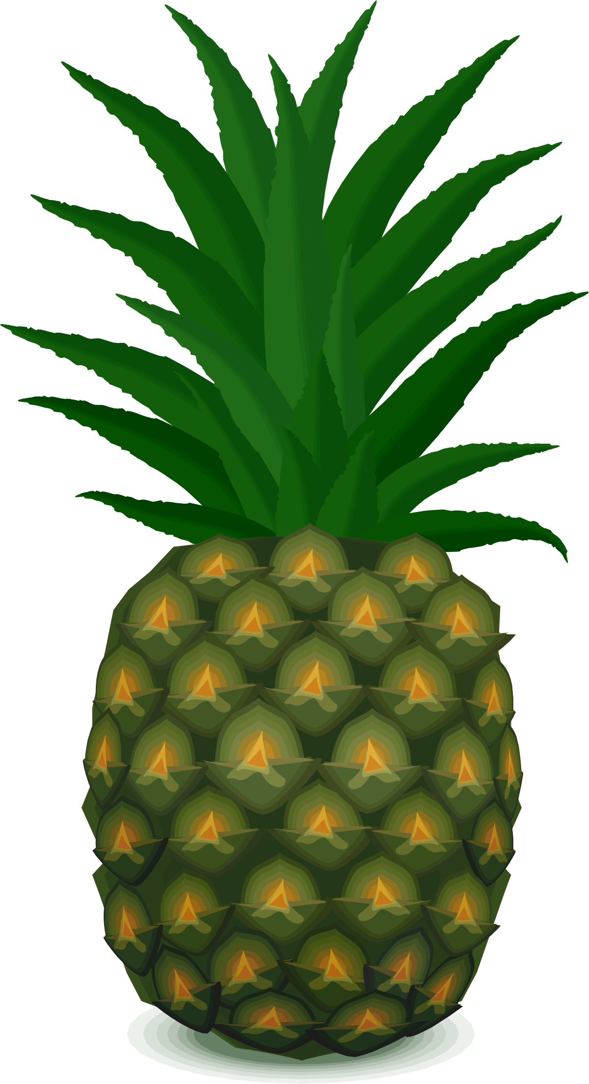 Big Image - Heart (love) Pineapple Throw Blanket (1199x2206)