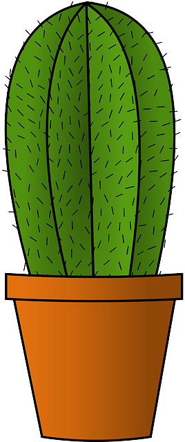 Potted Cactus Clip Art Potted Plants Clip Art Pinterest - Cactus Plant Clipart (320x640)