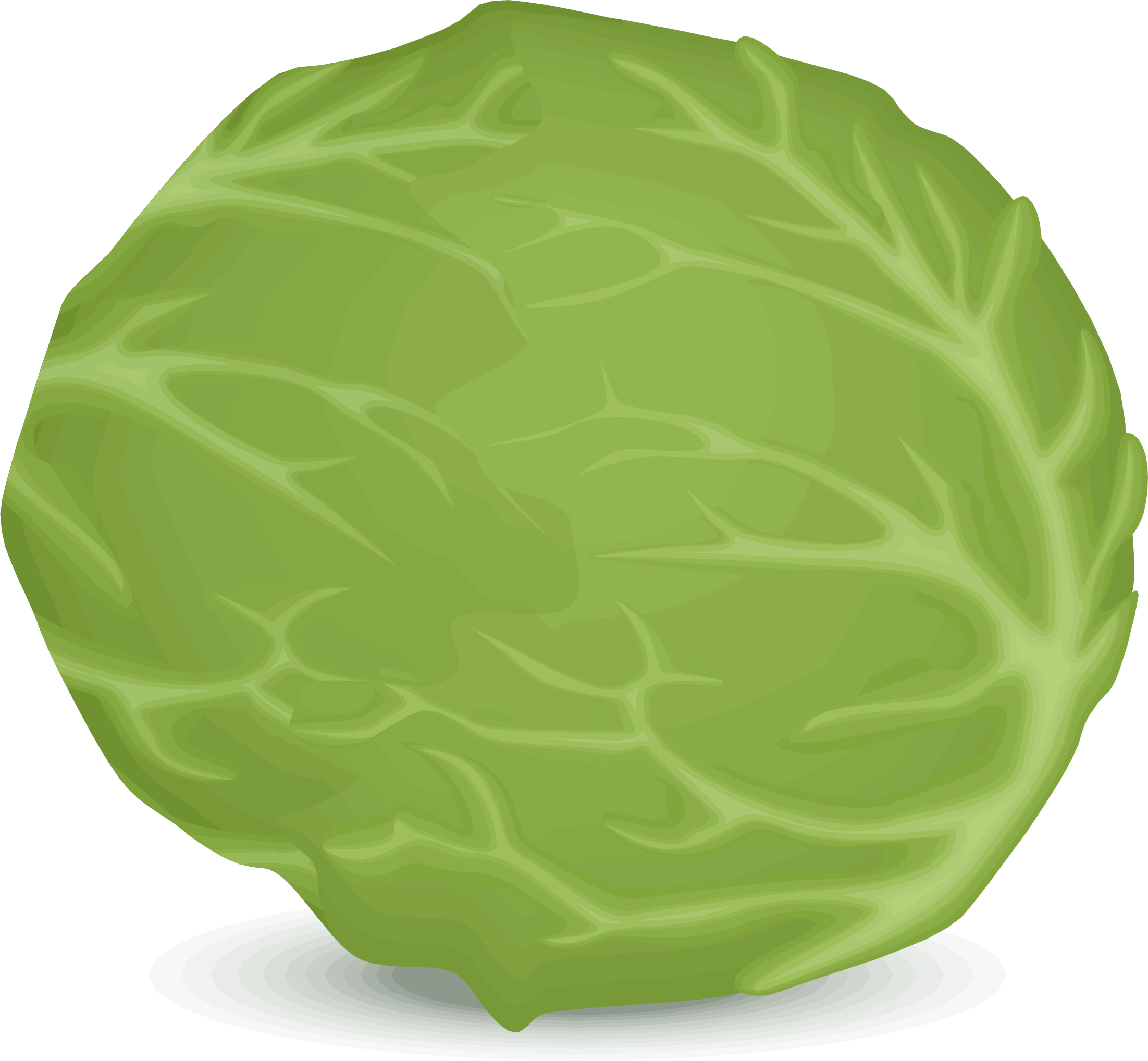 Big Image - Lettuce Clipart Png (2203x2036)