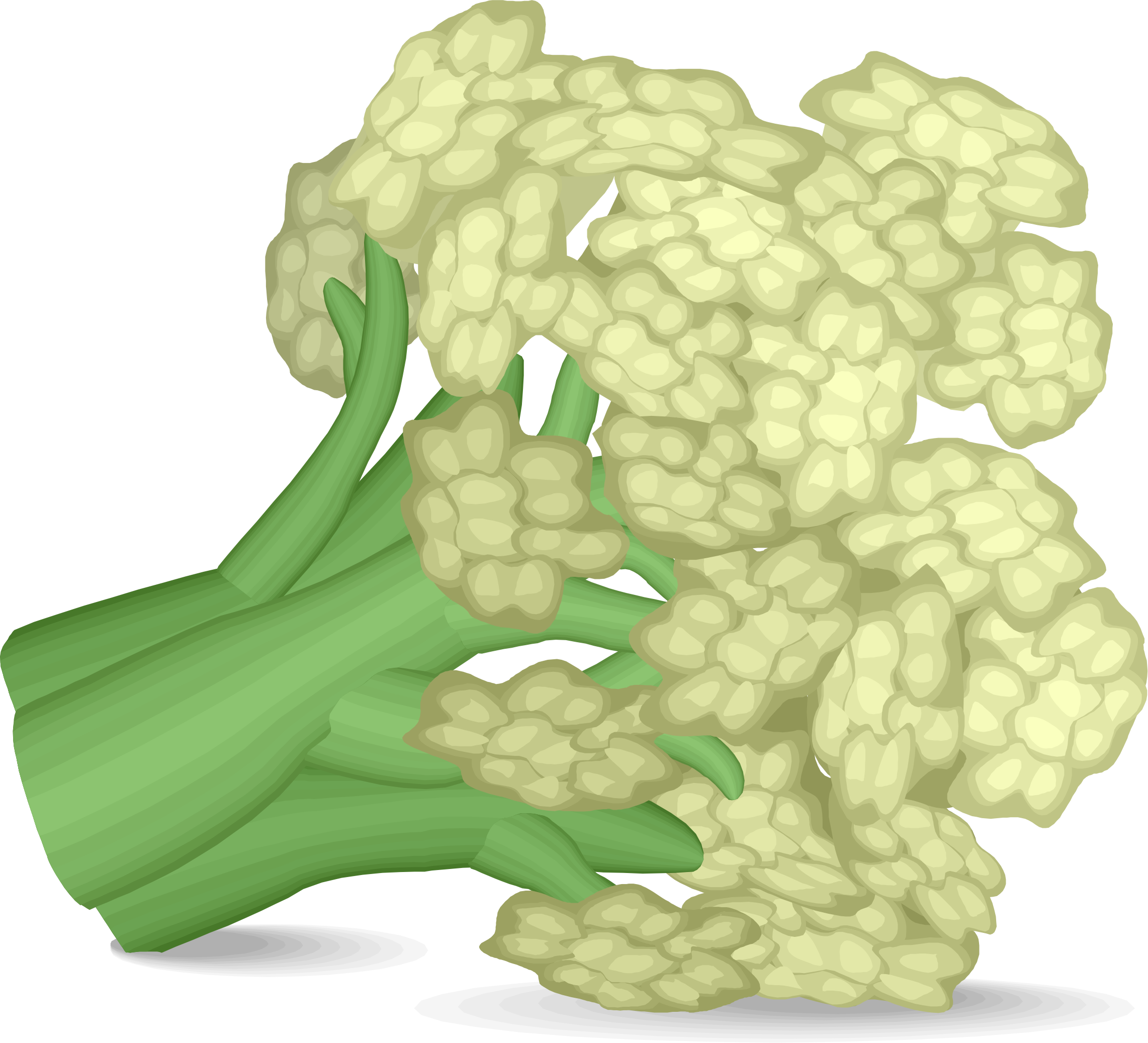 Big Image - Cartoon Cauliflower Png (2283x2074)