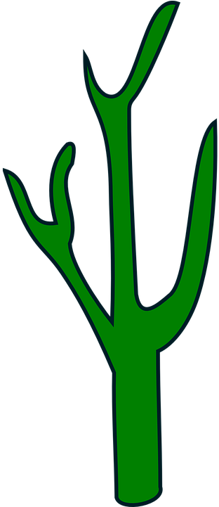 Free Vector Graphic - Cactus (360x720)