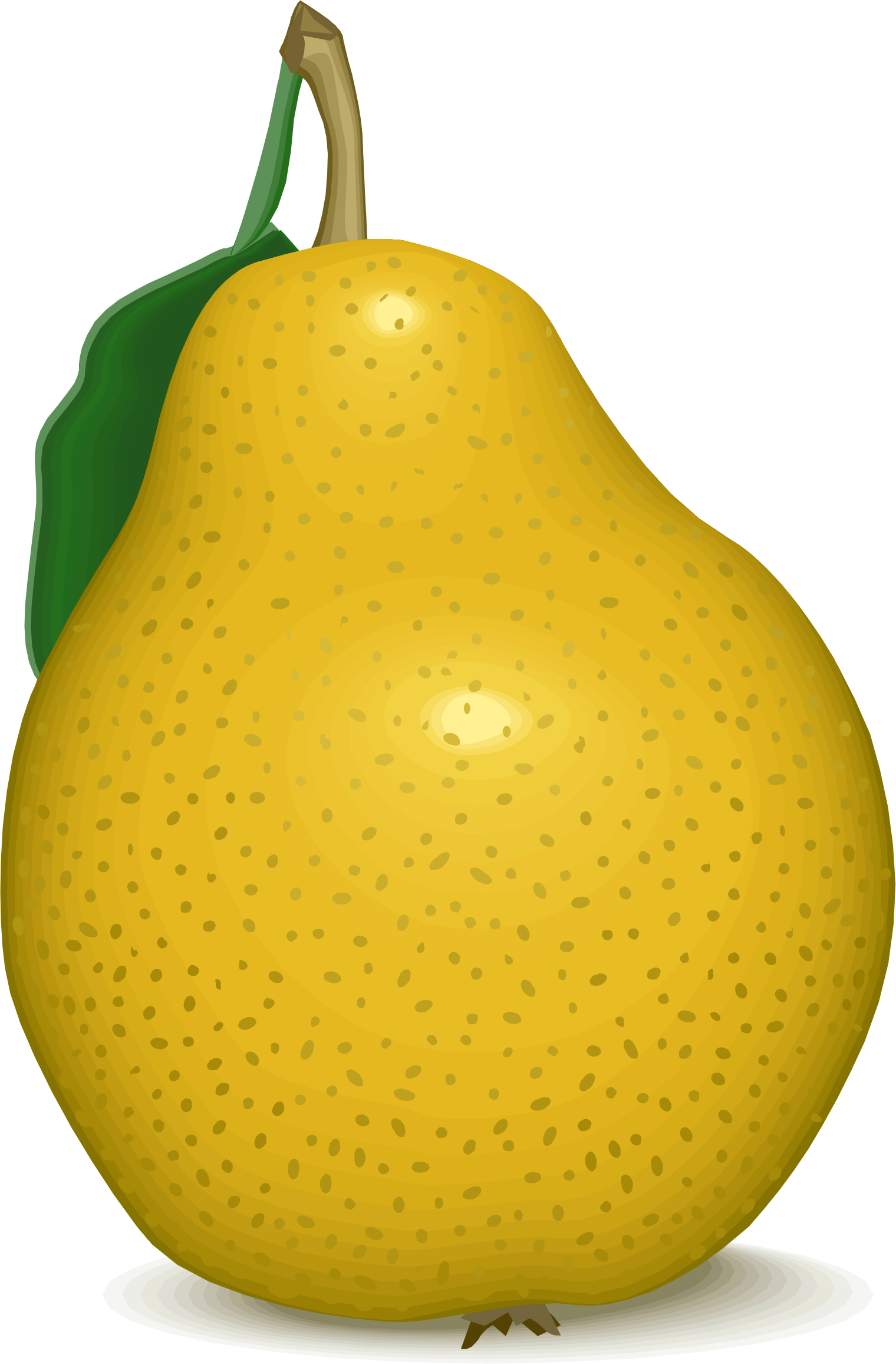 Big Image - Pear Clipart (1520x2312)