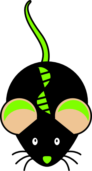 Transgenic Mouse Clip Art - Transgenic Png (324x598)