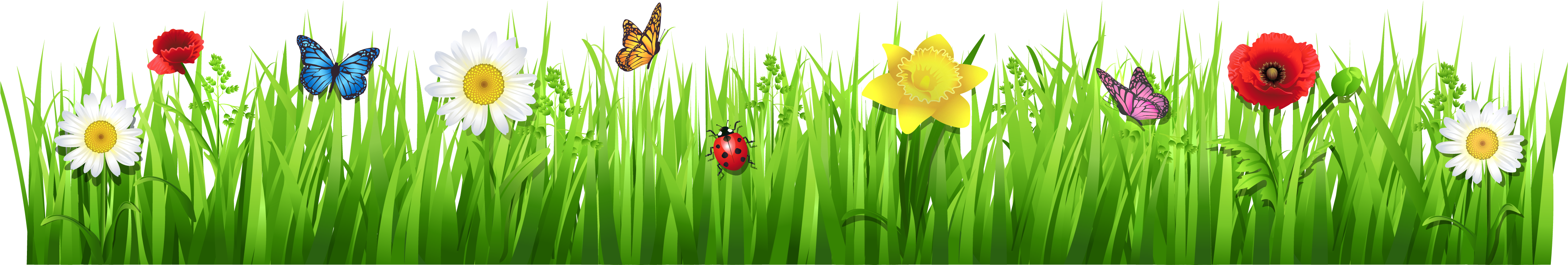 Flowers Clip Art - Grass And Flowers Clipart (4335x972)