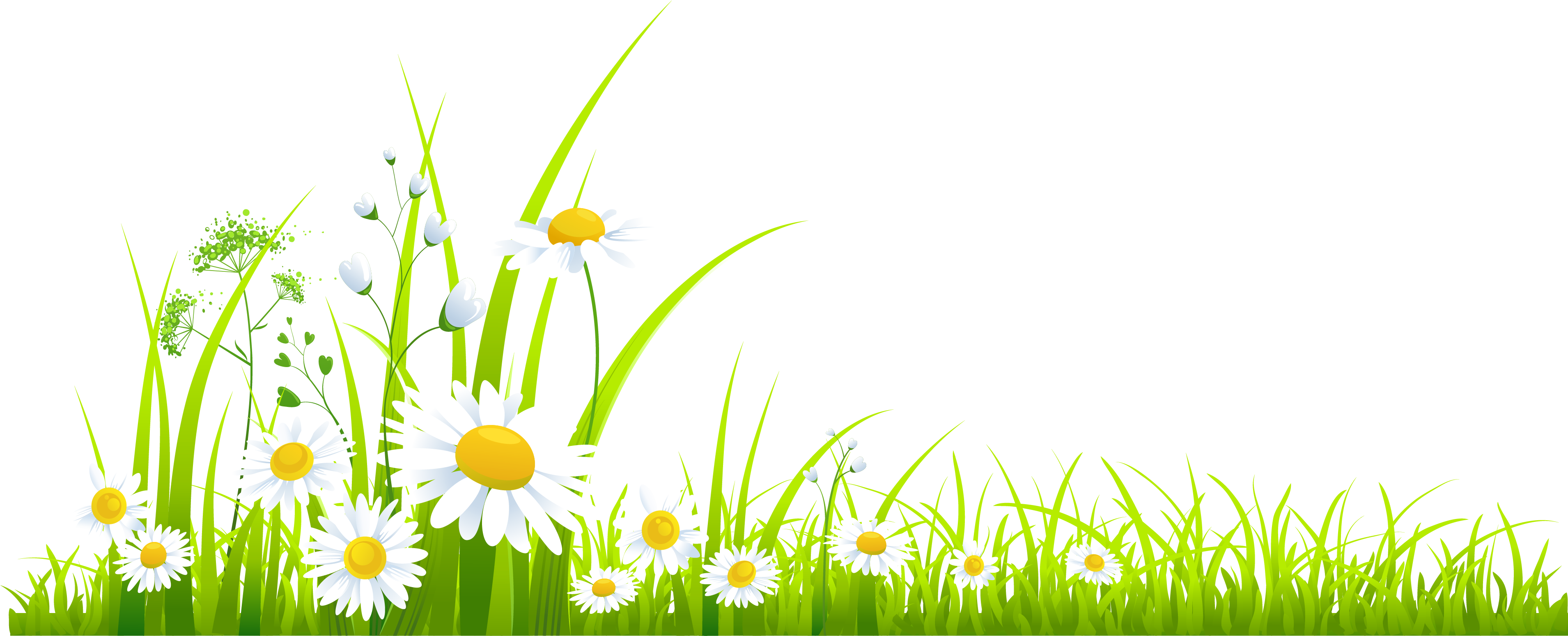Spring Grass With Camomile Png Clipart - Spring Png (3911x1566)