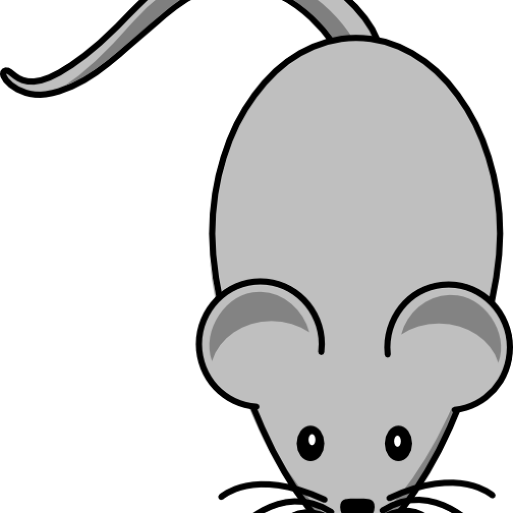 Mouse Clipart Light Grey Mouse Clip Art At Clker Vector - Mouse Clip Art (1024x1024)