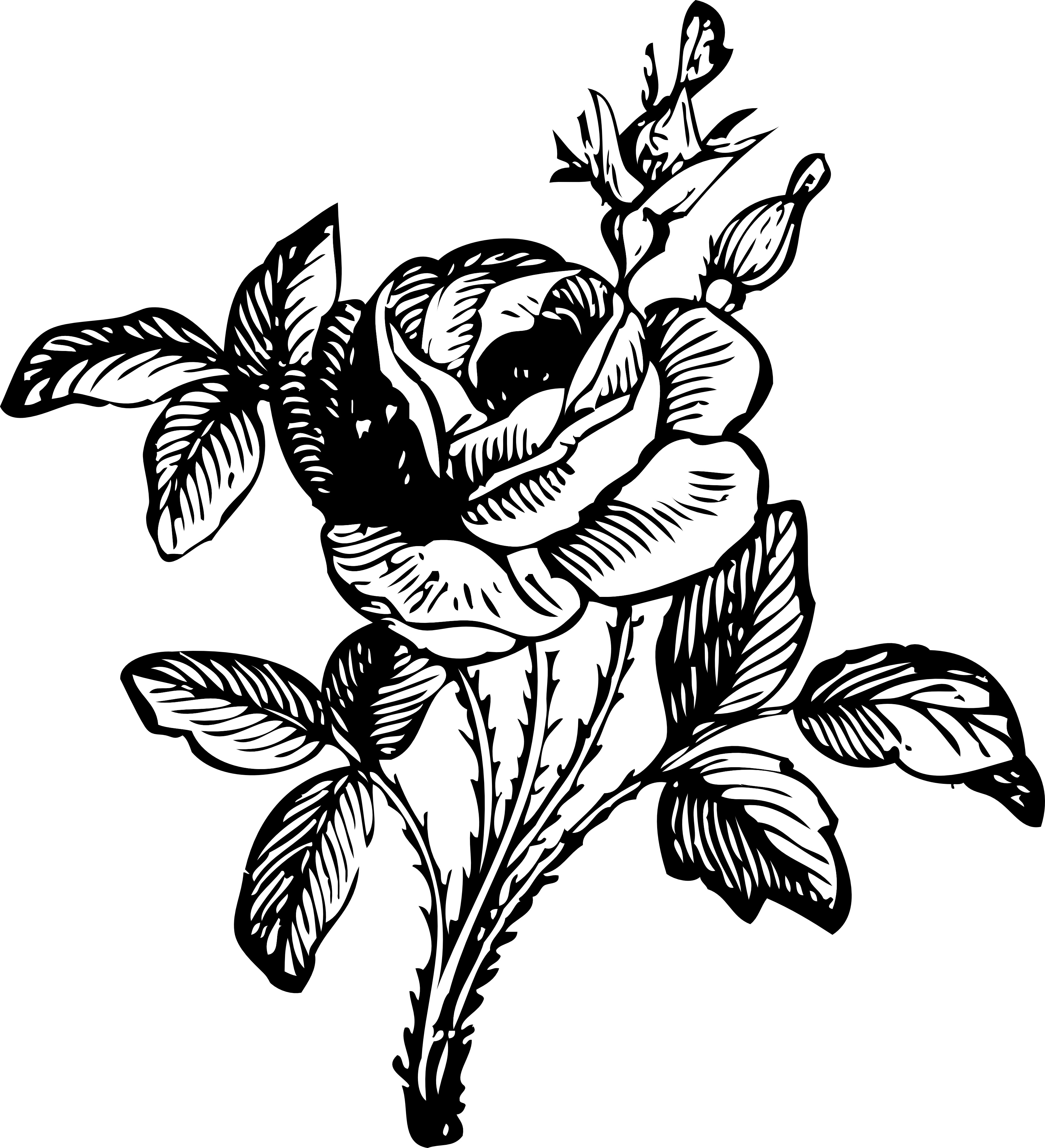 Flower Bouquet Clipart Black And White - Black And White Flower Png (3333x3660)