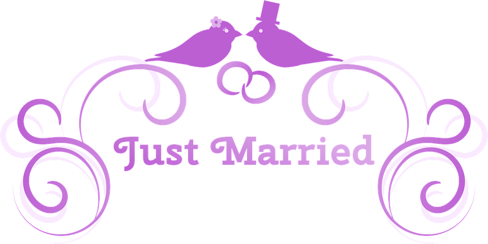 Love Bird Clipart 28, - Wedding Background 1600x900 Png (960x480)