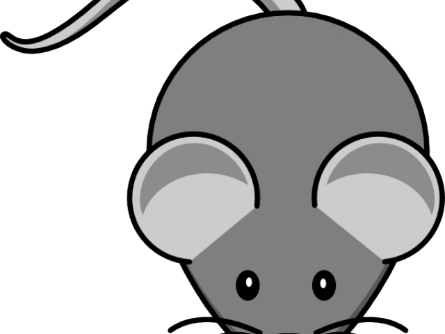 Cartoon Picture Of A Mouse - Mouse Clip Art (640x480)