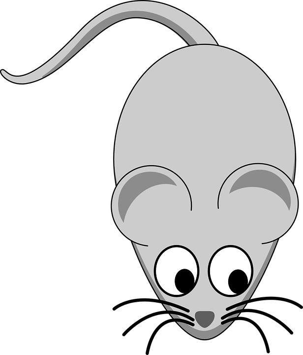 Mice Clipart Pet - Grey Mouse Clipart (616x720)