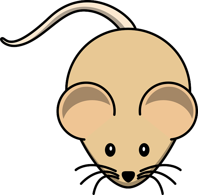 Mouse Clipart No Background - Cartoon Mouse Shower Curtain (640x631)