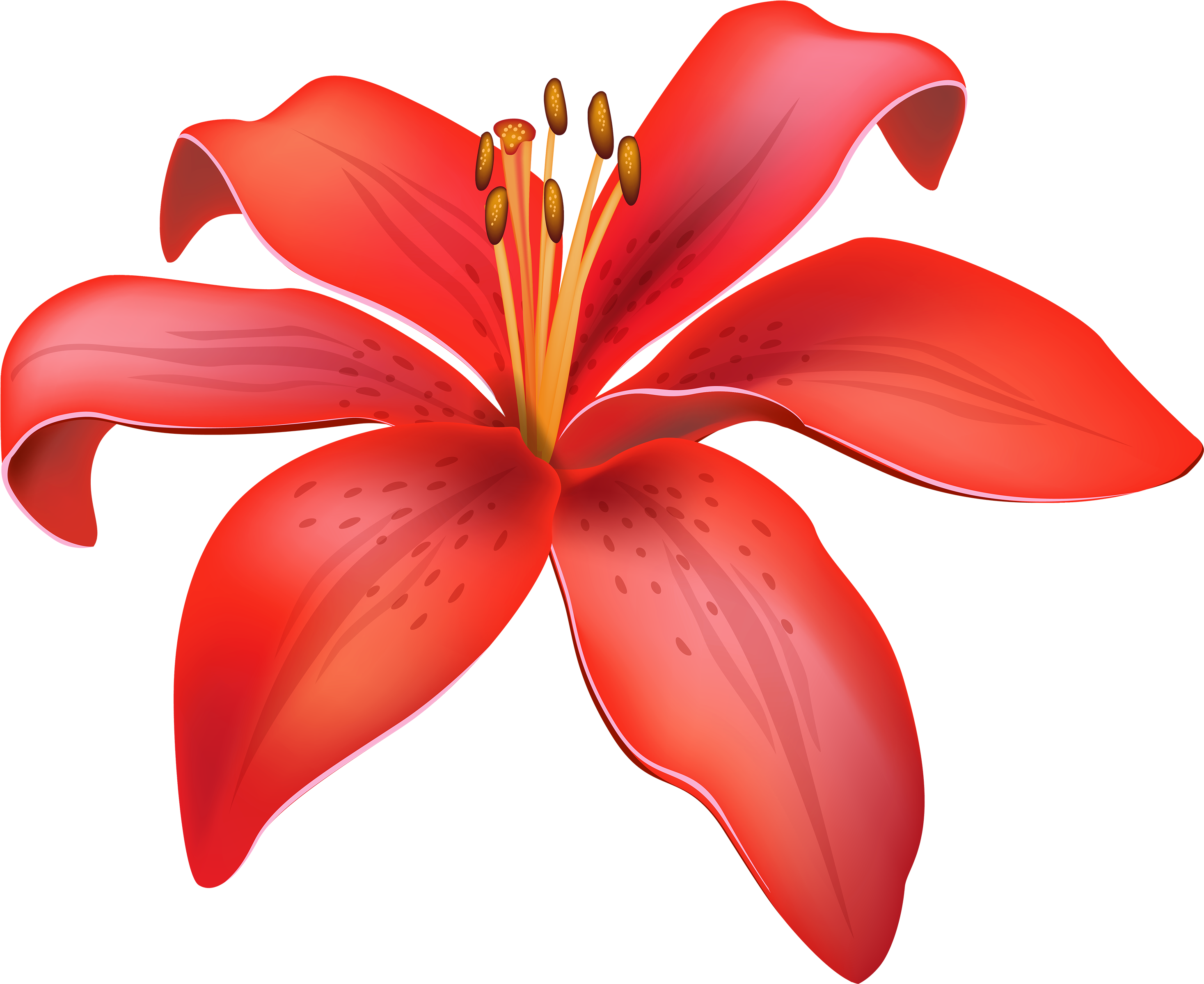 Red Lily Flower Png Clipart - Lily Flower Png (3000x2484)