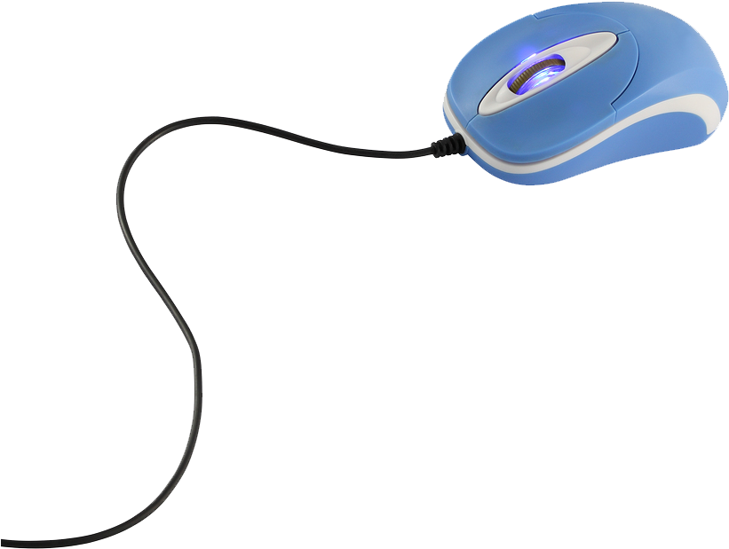 Computer Mouse Png Photos - Mouse With A Long Tail (900x740)