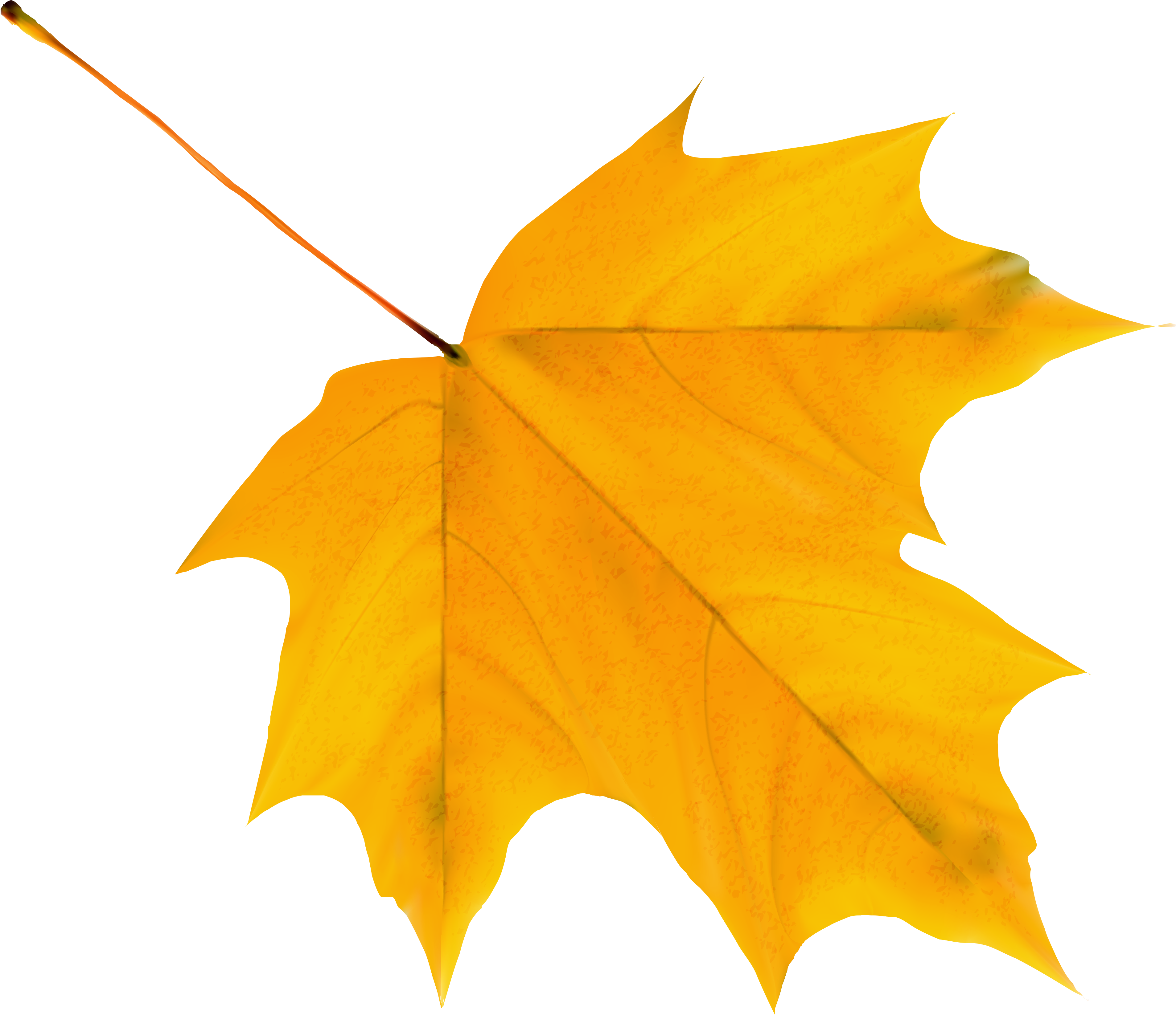 Foliage Clipart Yellow Leaf - Yellow Autumn Leaf Png (3977x3428)
