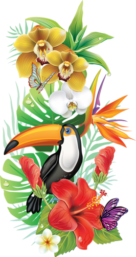 Bzikolya Альбом «цветы» На Яндекс - Fleur Des Iles Dessin (266x500)