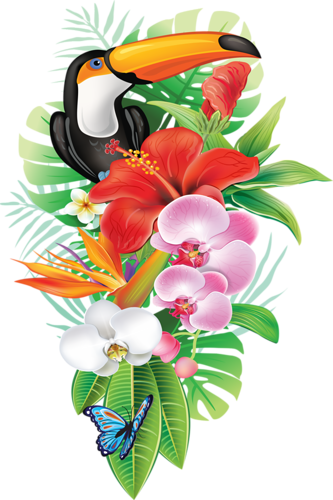 Flower - Tropical Png (333x500)