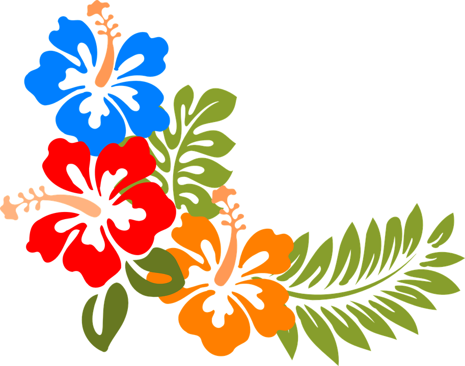 Summer Flower Cliparts 10, Buy Clip Art - Hibiscus Clipart (913x720)