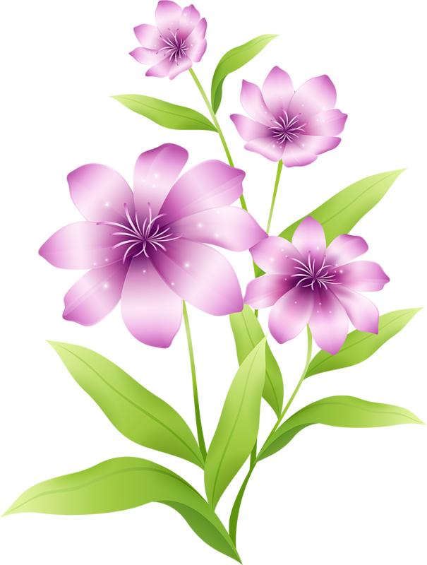 Large Light Pink Flowers Clipart - Flowers Clipart (605x800)