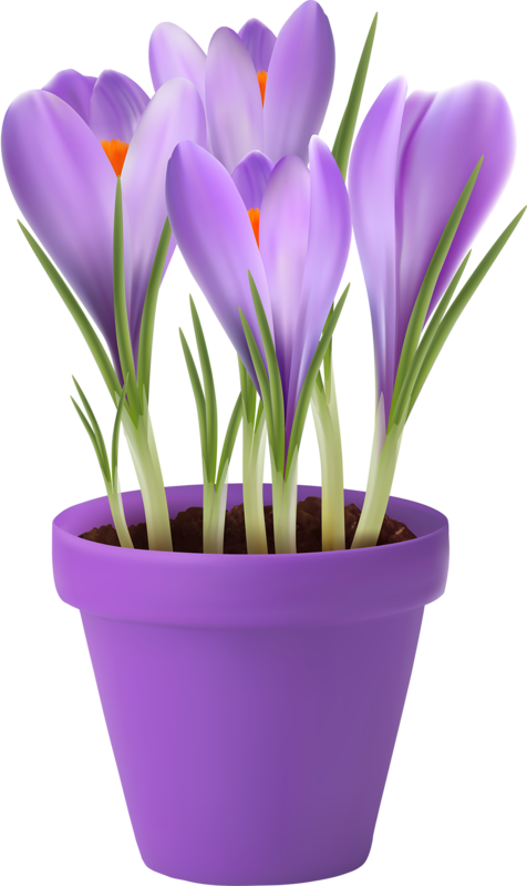 Butterfly Flowersart Flowersspring - Flower Pot Vector Png (476x800)