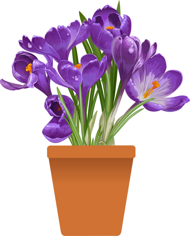 Purple Clipart Spring Flower - Spring Flowers In Pots (640x797)