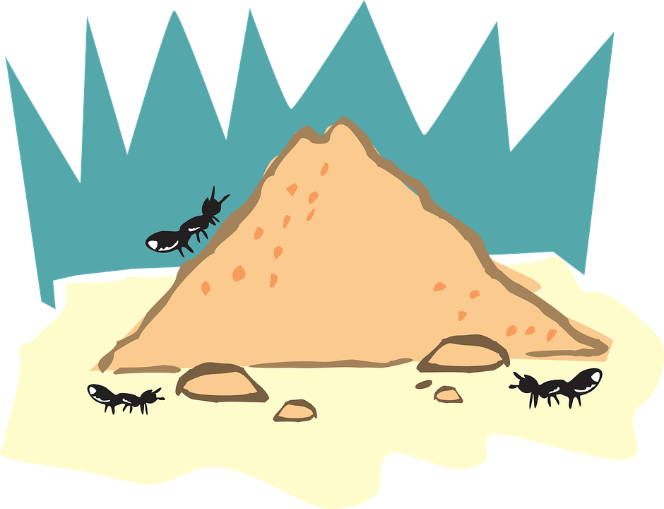 Anthill Drawing - Photo - Insects And Their Homes (640x480)