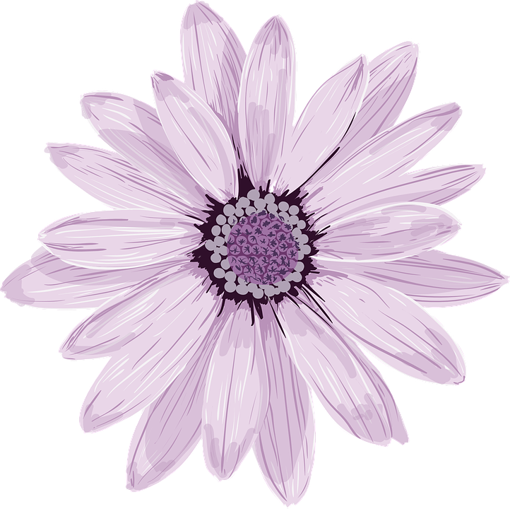 Lilac Flower Cliparts - Light Purple Flower Transparent (722x720)