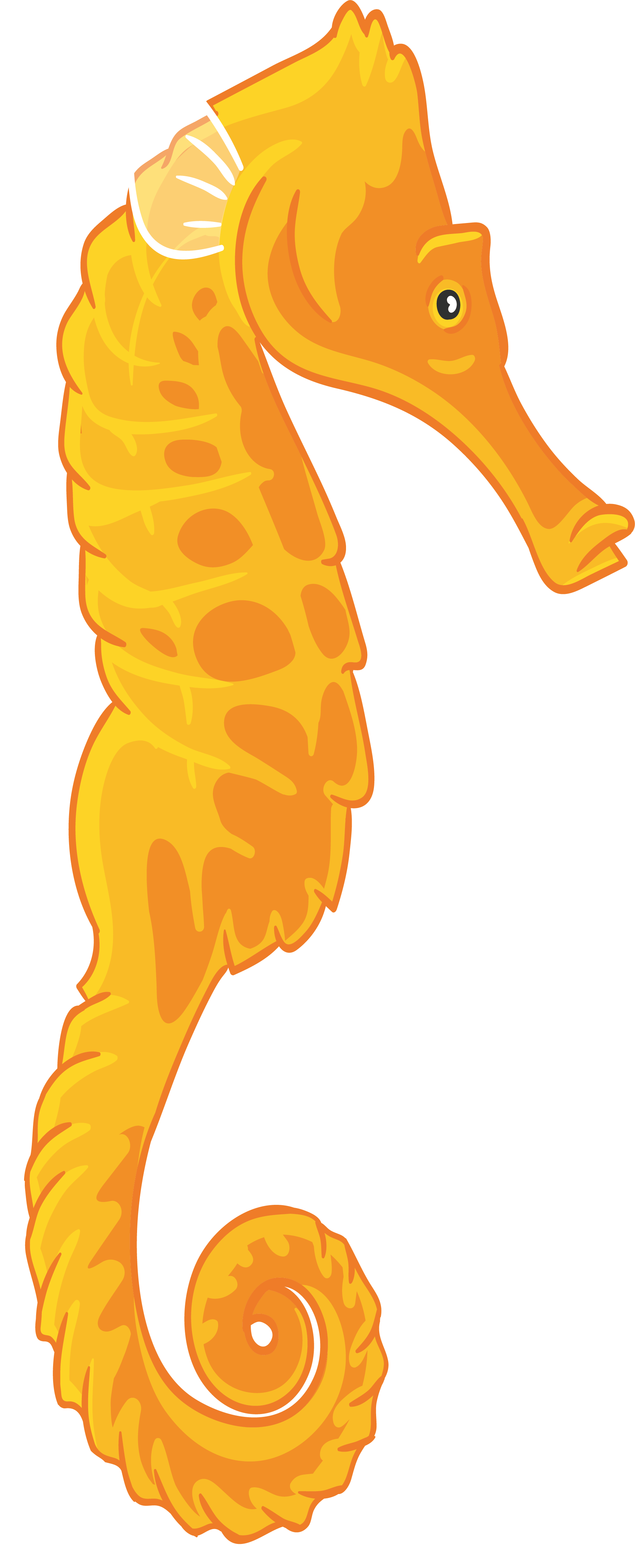 Seahorse Cartoon Drawing Illustration - Cartoon Seahorse (1793x4430)