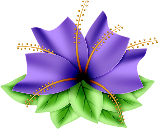 B *✿* Cantara - Have A Wonderful Wednesday (544x444)