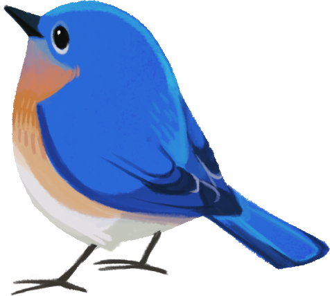 Birding News 201405 Wild Bird Club - Bird (476x428)