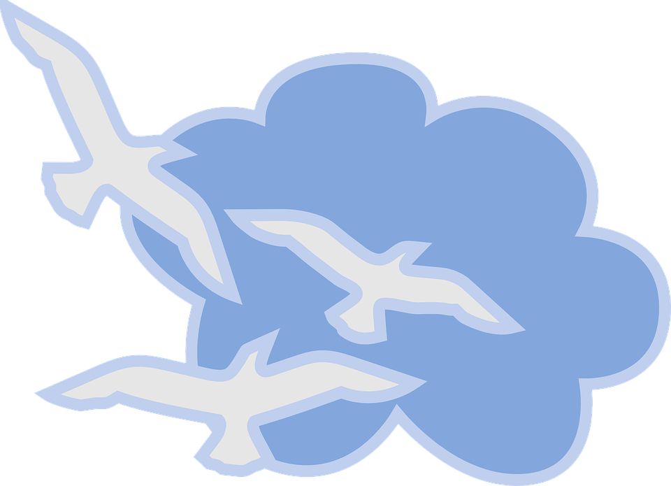 Clouds Clipart Bird - Sky (960x695)