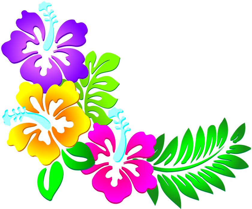 Spring Flowers Borders 12, Buy Clip Art - Flores Moana (956x720)
