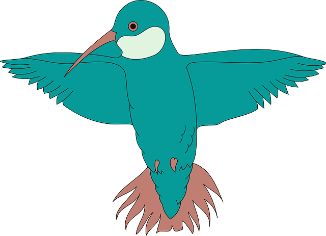 Wings Clipart Real Bird - Wings And A Beak (640x463)