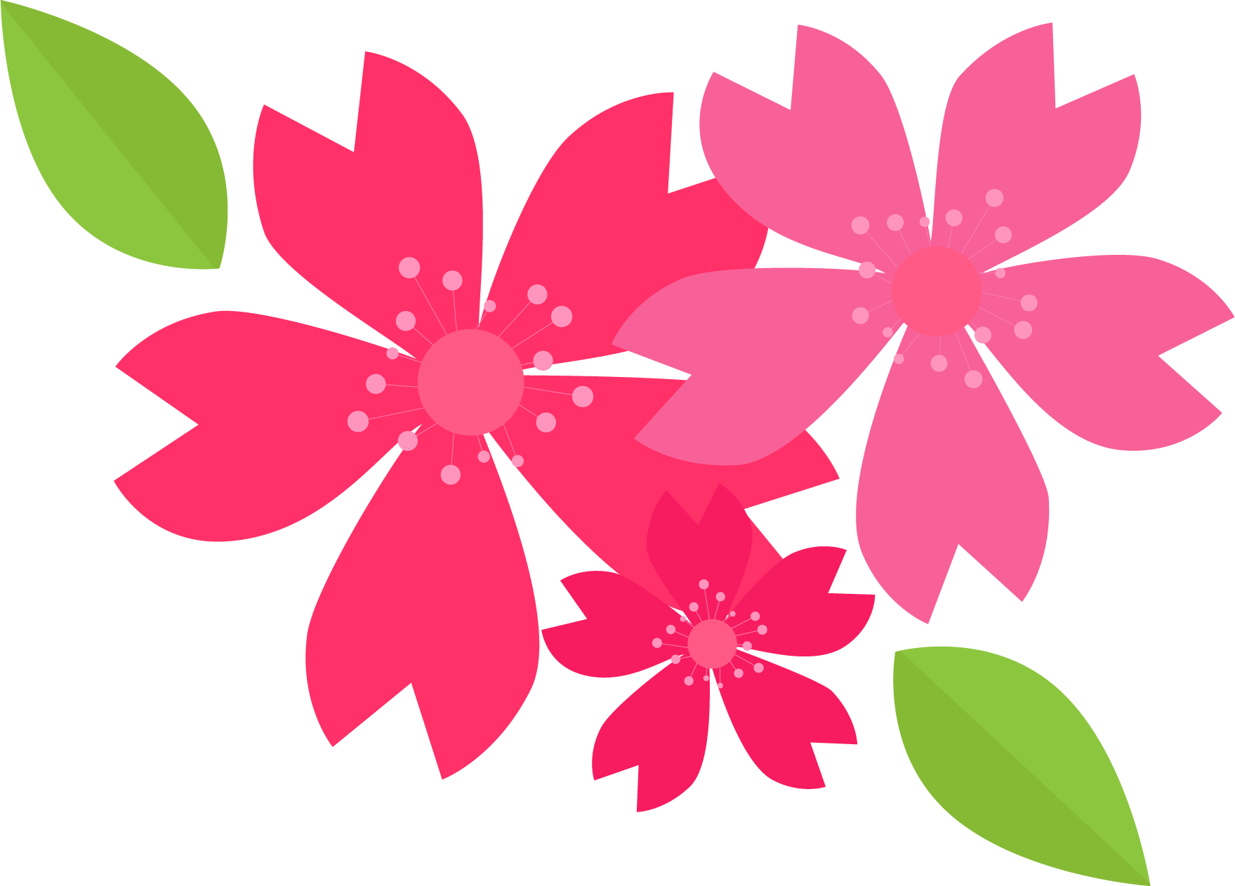 Flowers Vectors Clipart Png Image 02 - Flower Petal Clipart Png (1759x1262)